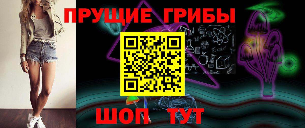Галлюциногенные грибы Psilocybe Югорск
